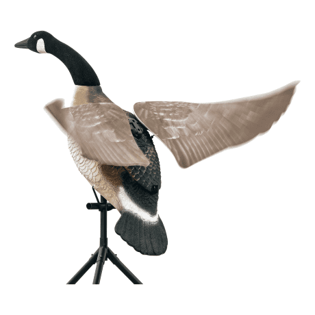 Lucky Duck Lucky Flapper Canada Goose Decoy - Side View