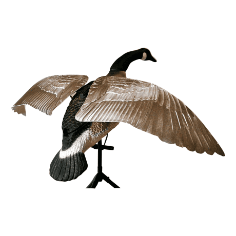Lucky Duck Lucky Flapper Canada Goose Decoy