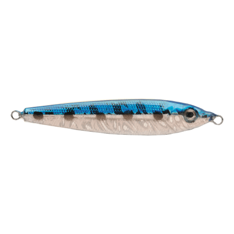 Sardine