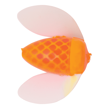 Egg Fluorescent/White Wing
