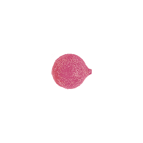 Yakima® Lil’ Corky - Glitter Pink