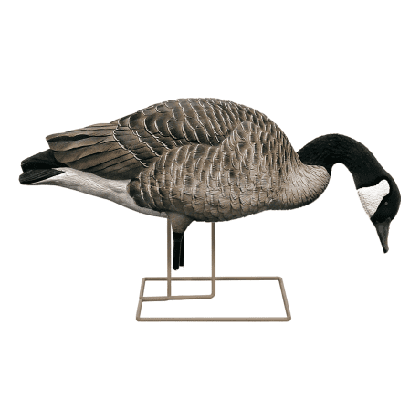 Avian-X Honker Goose Decoy Fusion Pack
