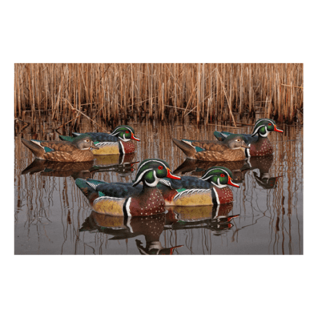 Avian-X Topflight Wood Duck Decoys