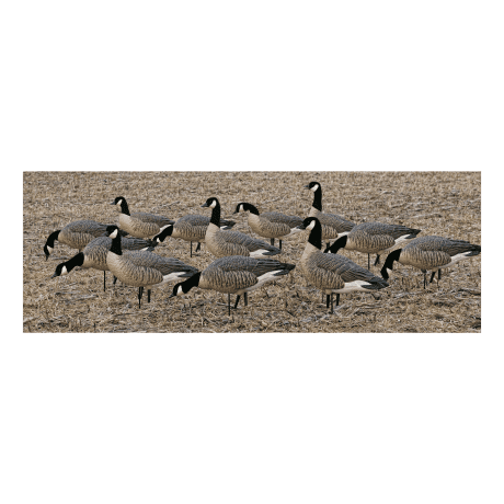 Avian-X AXP Lesser Canada Outfitter Pack