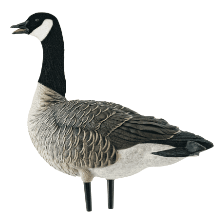 Avian-X AXP Lesser Canada Outfitter Pack - Caller