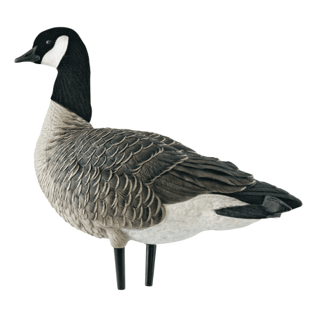 Avian-X AXP Lesser Canada Outfitter Pack - Action