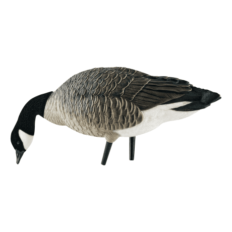 Avian-X AXP Lesser Canada Outfitter Pack - Picking Feeder