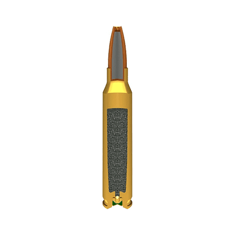 Jacketed Hollow Point