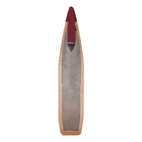 Hornady® ELD-X™ Hunting Rifle Bullets - Bullet Cutaway