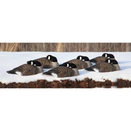 Higdon Outdoors Standard Half Shell Canada Sleeper 6 Pack