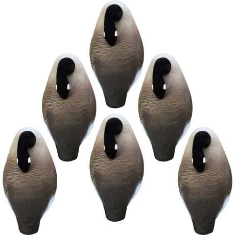 Higdon Outdoors Standard Half Shell Canada Sleeper 6 Pack