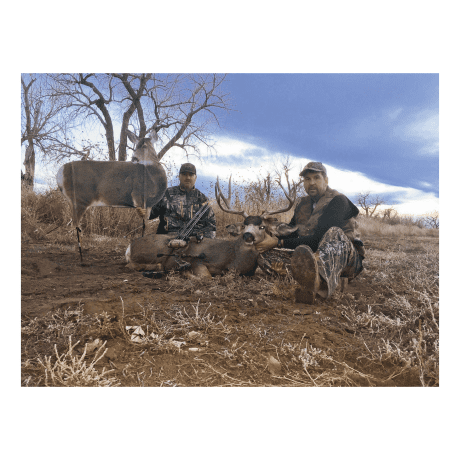 Montana Decoy Miss Muley Decoy - In The Field
