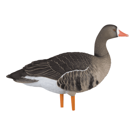 Avian-X AXP Specklebelly Fusion Pack - Walker