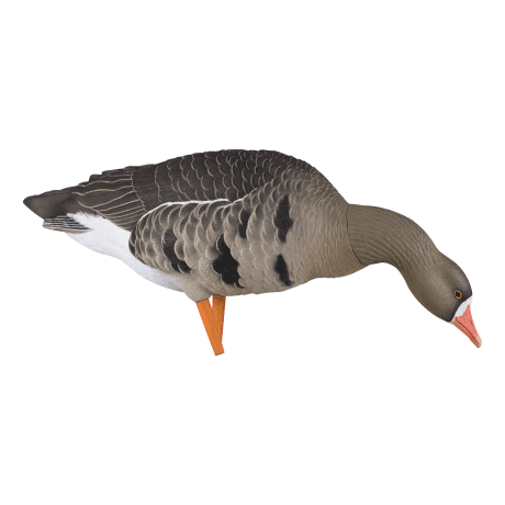 Avian-X AXP Specklebelly Fusion Pack - Short-Neck Feeder