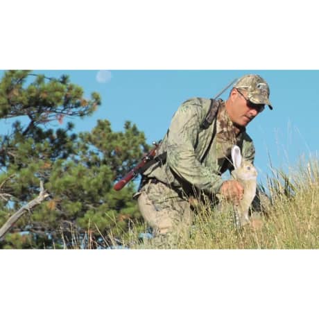 Montana Decoy Miss Hoptober Predator Decoy