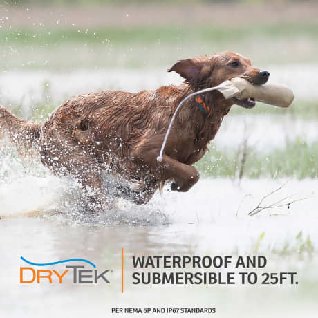 SportDOG Brand® SportTrainer® 1275 - Orange