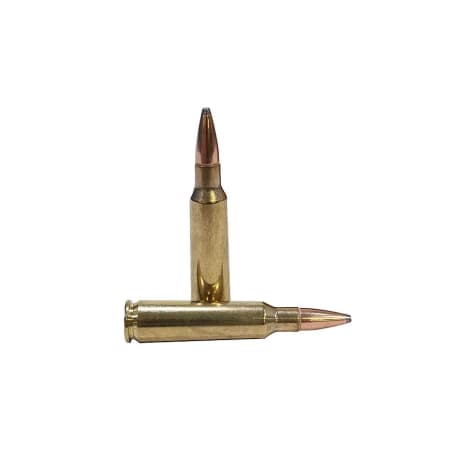 Hornady InterLock® Ammunition