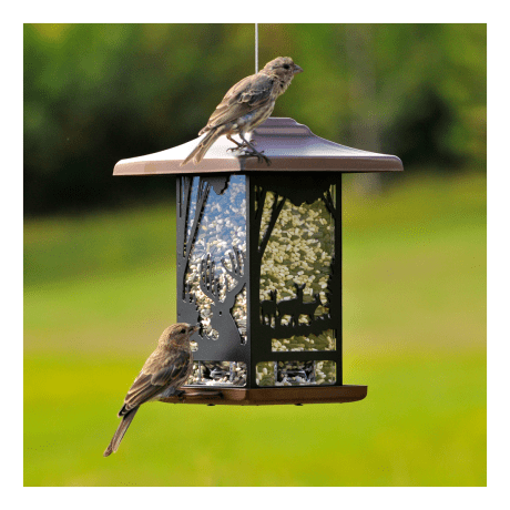 Perky-Pet® Wilderness Lantern Bird Feeder - In the Field