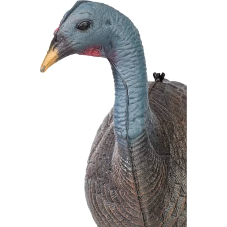 RedHead® Foam Lookback Hen Turkey Decoy
