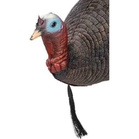 RedHead® Foam Upright Jake Turkey Decoy