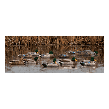 Avian-X® TopFlight® Mallard Duck Decoy Outfitter Pack - in the field