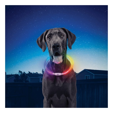 NiteHowl Rechargable LED Safety Necklace - In the Field