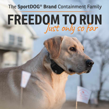 SportDOG Brand® SDF-100C In-Ground Fence™ System