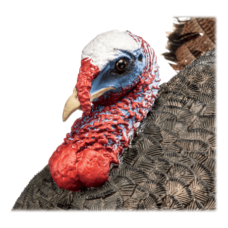 RedHead Reality Series® Crazy Jake Turkey Decoy - HEad View