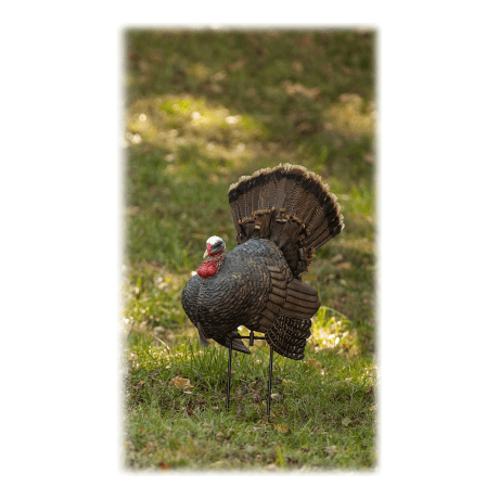 RedHead Reality Series® Crazy Jake Turkey Decoy - In the Field