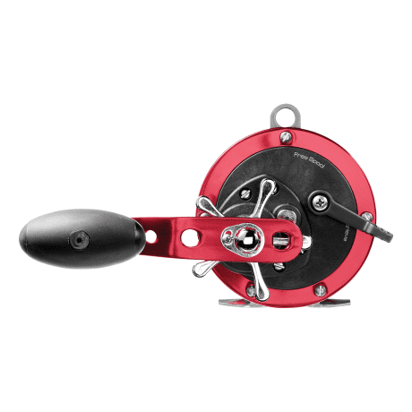 Offshore Angler™ SeaFire Conventional Saltwater Reel