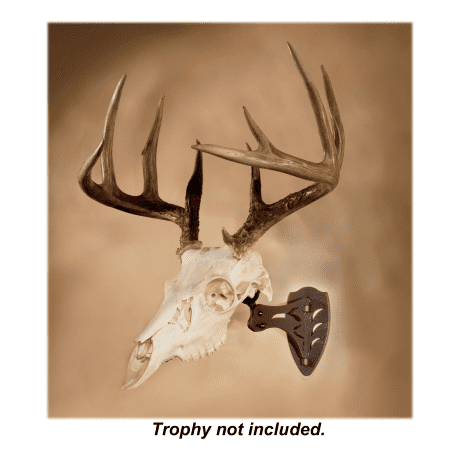 Skull Hooker European Trophy Mounting Systems - Little Hooker - Brown - In the Field