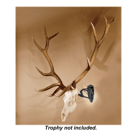 Skull Hooker European Trophy Mounting Systems - Little Hooker - Brown - In the Field