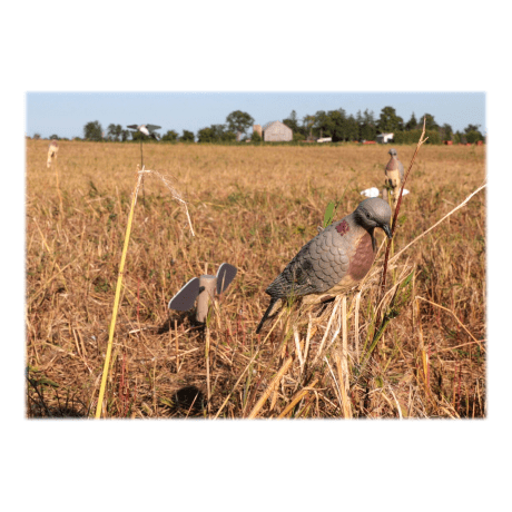 Lucky Duck® Clip-On Dove Decoys With Stakes