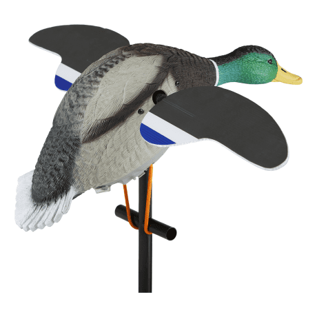 Lucky Duck Lucky Junior II 6V Decoy - Back View