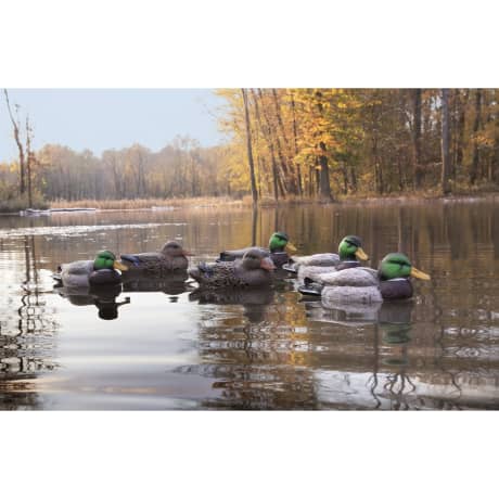 thumbnail image 2 of Higdon Outdoors Standard Red Head Duck Decoys 2 of 11