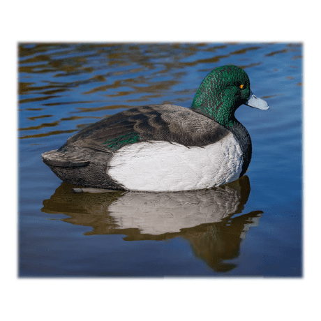 Northern Flight® Bluebill Duck Decoys