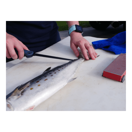 Cuda® Professional 6" Fillet Knife