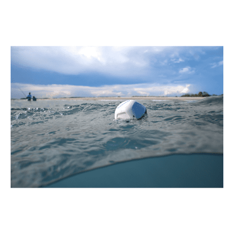 Garmin® Striker™ Cast