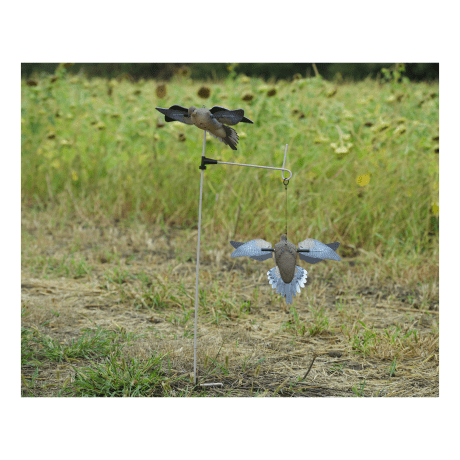Avian-X PowerFlight™ Dove Decoy - lifestyle