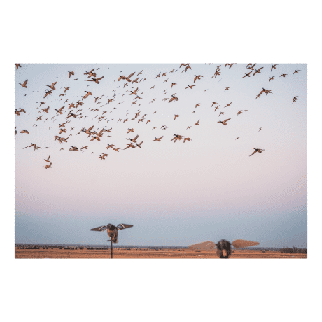 Lucky Duck Lucky HD Motorized Mallard Decoy with Remote 2.0