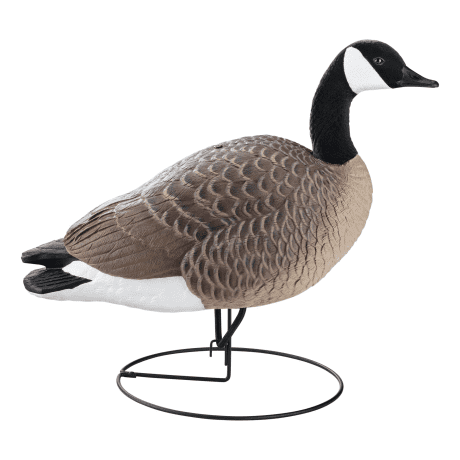 Northern Flight® Full-Body Canada Goose Decoys