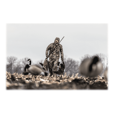 Northern Flight® Full-Body Canada Goose Decoys