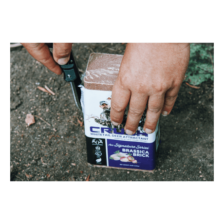 CRUSH® Ani-Signature Series™ Brassica Brick - in use