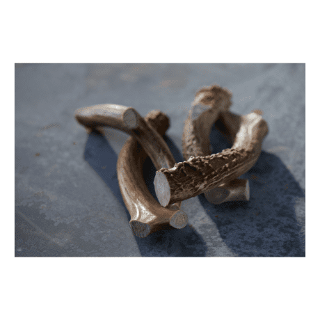Buck Bone Organics Deer Antler Chews