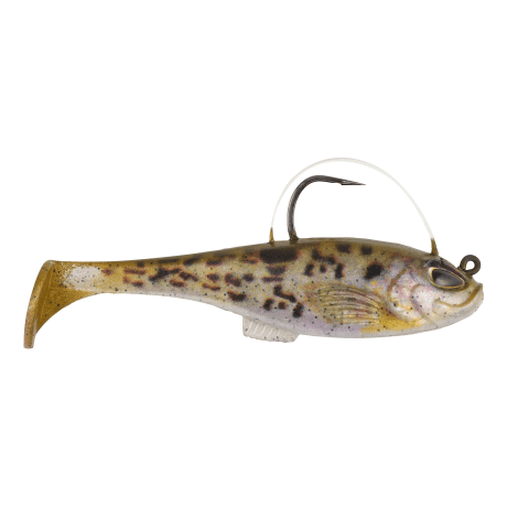 Goby