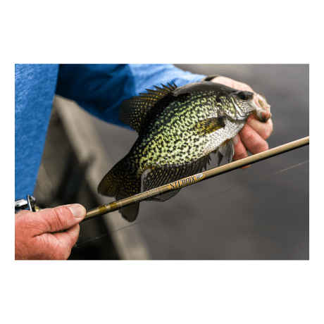 St. Croix® Panfish Spinning Rods