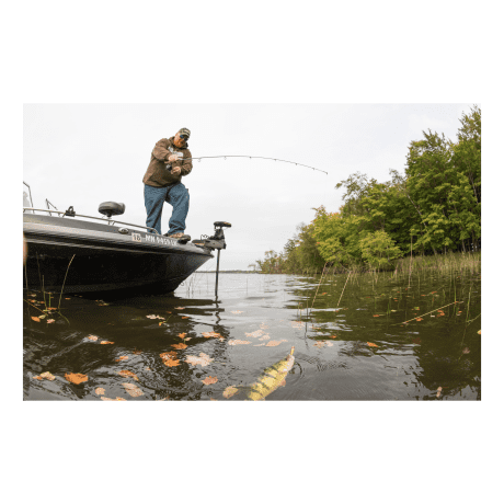 St. Croix® Panfish Spinning Rods