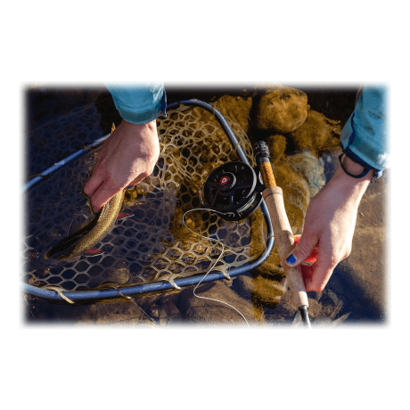 Greys® Fin Fly Reel