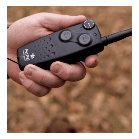 Canine Coach 360 Remote Trainer
