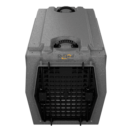 RuffLand Performance Kennels - Intermediate